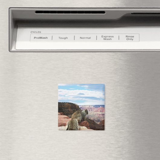 Eekhoorn met uitzicht op Grand Canyon, Arizona Magneet (Insitu (Vaatwasser))