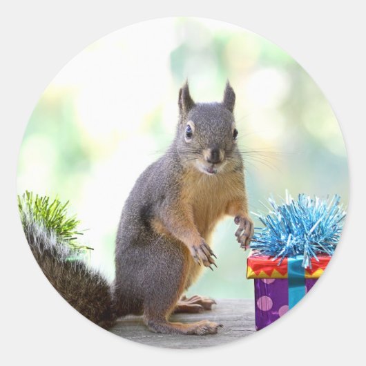 Eekhoorn met verpakte Cadeaus Ronde Sticker (Voorkant)