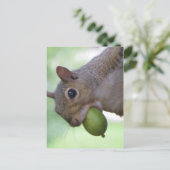 Eekhoorn met volle mond briefkaart (Staand voorkant)