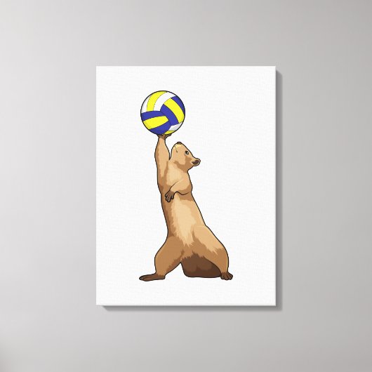 Eekhoorn met volleybal canvas afdruk (Voorkant)