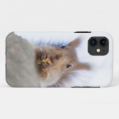 Eekhoorn met walnoot Case-Mate iPhone case (Achterkant (horizontaal))