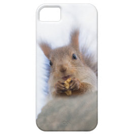 Eekhoorn met walnoot Case-Mate iPhone case