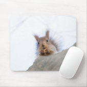 Eekhoorn met walnoot muismat (Met muis)