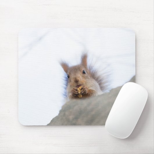 Eekhoorn met walnoot muismat (Met muis)