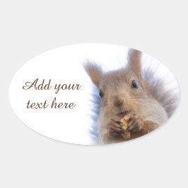 Eekhoorn met walnoot ovale sticker