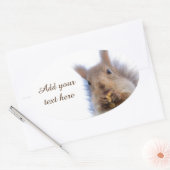 Eekhoorn met walnoot ovale sticker (Envelop)