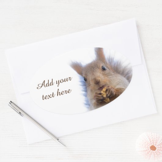Eekhoorn met walnoot ovale sticker (Envelop)