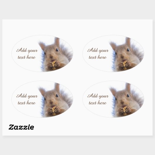 Eekhoorn met walnoot ovale sticker (Vel)