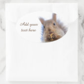 Eekhoorn met walnoot ovale sticker (Tas)