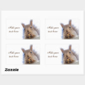 Eekhoorn met walnoot rechthoekige sticker (Vel)