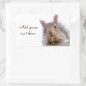 Eekhoorn met walnoot rechthoekige sticker (Tas)