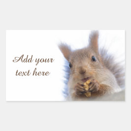 Eekhoorn met walnoot rechthoekige sticker