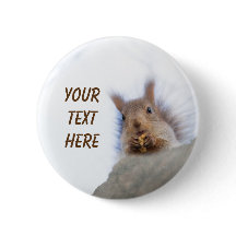 Eekhoorn met walnoot