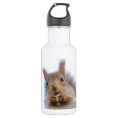 Eekhoorn met walnoot waterfles (Voorkant)