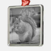 eekhoorn metalen ornament (Links)