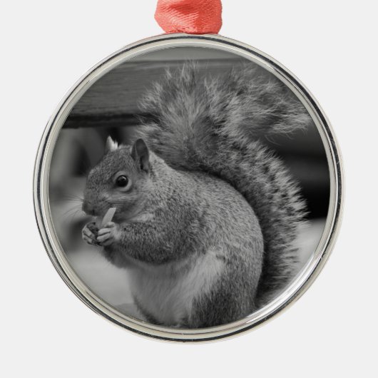 eekhoorn metalen ornament (Voorkant)