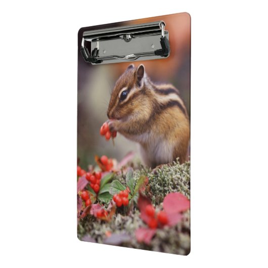 eekhoorn mini klembord (Angled2)