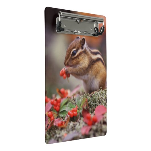 eekhoorn mini klembord (Schuin)