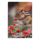 eekhoorn mini klembord (Achterkant)