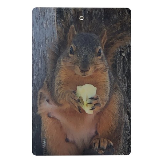 eekhoorn mini klembord (Achterkant)