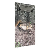 eekhoorn mini klembord (Schuin)