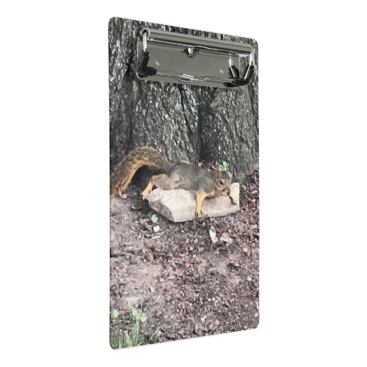 eekhoorn mini klembord (Schuin)