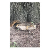 eekhoorn mini klembord (Achterkant)