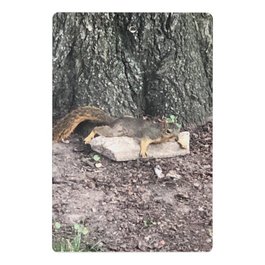 eekhoorn mini klembord (Achterkant)