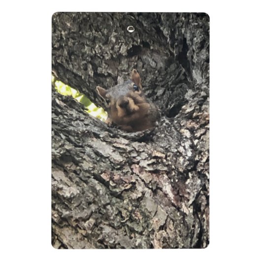 Eekhoorn Mini Klembord (Achterkant)