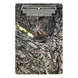 eekhoorn mini klembord