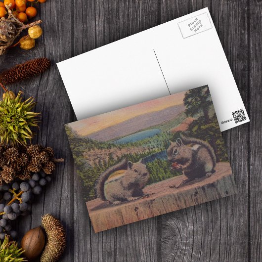  Eekhoorn Mountain Scene Briefkaart