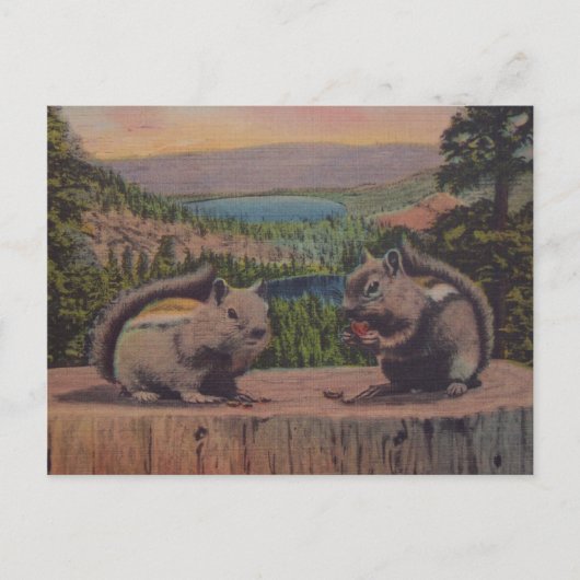  Eekhoorn Mountain Scene Briefkaart (Voorkant)