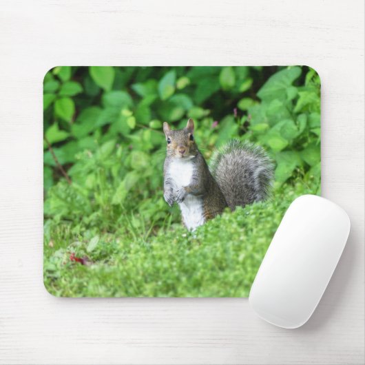 eekhoorn muismat (Met muis)