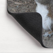 eekhoorn muismat (Hoek)