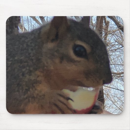 eekhoorn muismat (Voorkant)