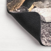 eekhoorn muismat (Hoek)