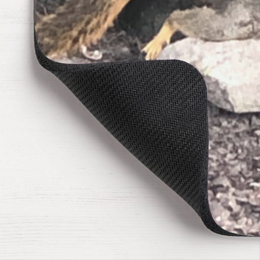 eekhoorn muismat (Hoek)