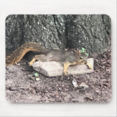 eekhoorn muismat (Voorkant)