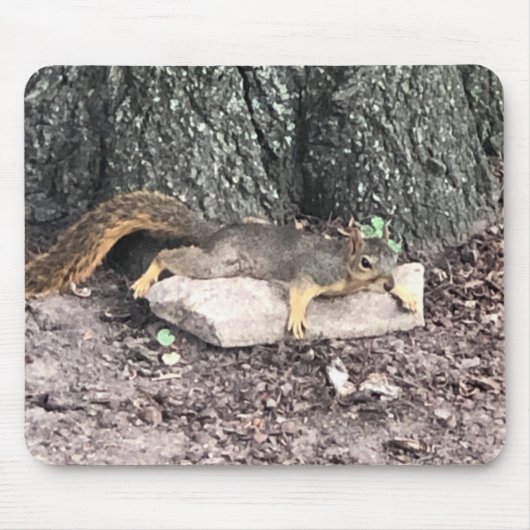 eekhoorn muismat (Voorkant)
