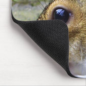 eekhoorn muismat (Hoek)