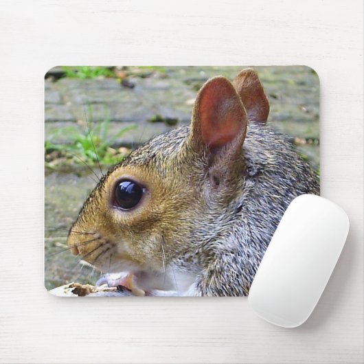 eekhoorn muismat (Met muis)