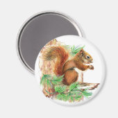Eekhoorn Natuur koelkastmagneet Magneet (Voorkant / Achterkant)