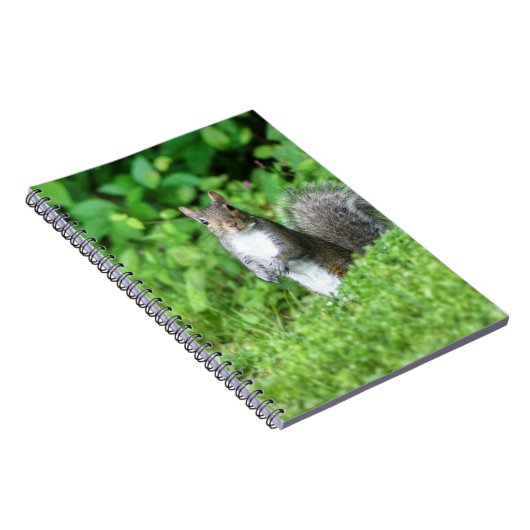 eekhoorn notitieboek (Rechterzijde)