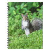 eekhoorn notitieboek (Voorkant)