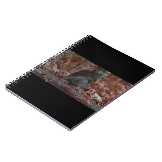 eekhoorn notitieboek (Linkerzijde)