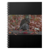 eekhoorn notitieboek (Voorkant)