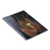 eekhoorn notitieboek (Rechterzijde)