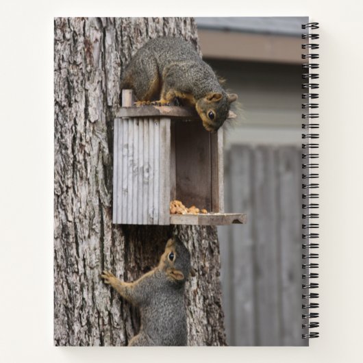 eekhoorn notitieboek (Achterkant)