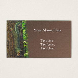 Eekhoorn onderaan Natuur Visitekaartjes