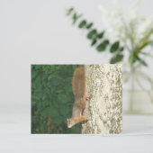 Eekhoorn ondersteboven Briefkaart (Staand voorkant)